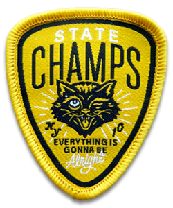 thermostick option or not Patch embroidered raccoon